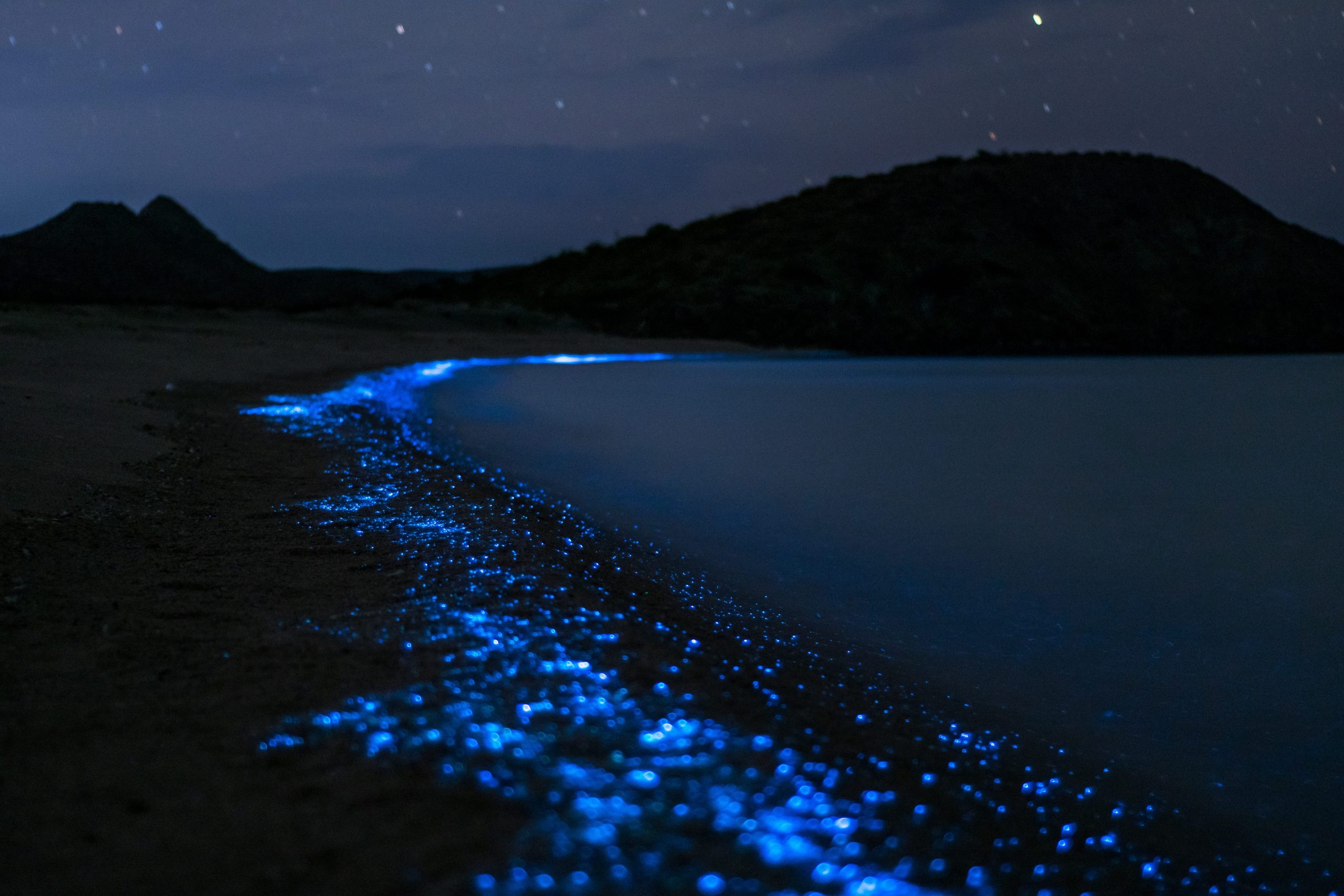 Bioluminiscencia, 10 islas donde ver este fenómeno