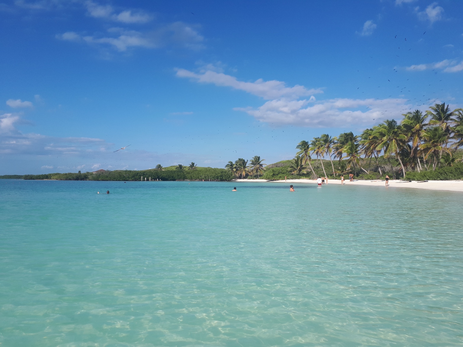 Isla Mujeres e Isla Contoy, 2 perlas cercanas a Cancún